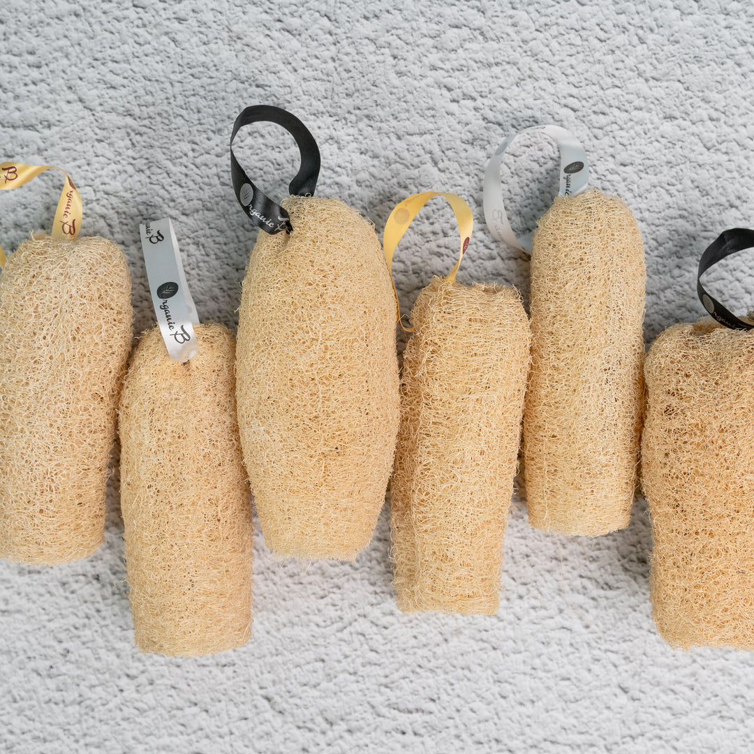 Organic B Natural Loofah, Body Scrubber/Sponge | 6 Pcs
