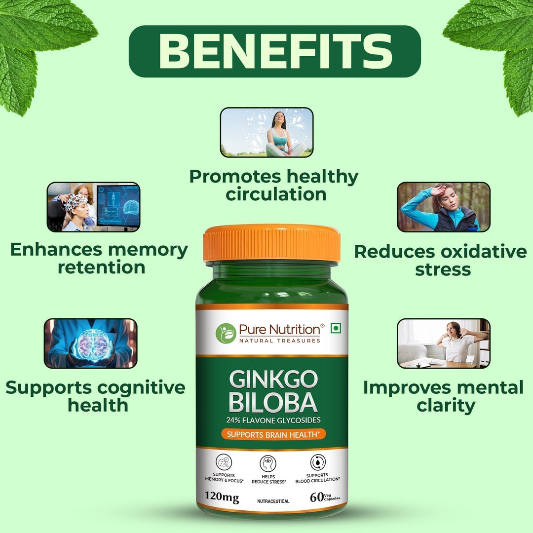 Ginkgo Biloba 120mg Cognitive Wellness, Focus & Circulation Support