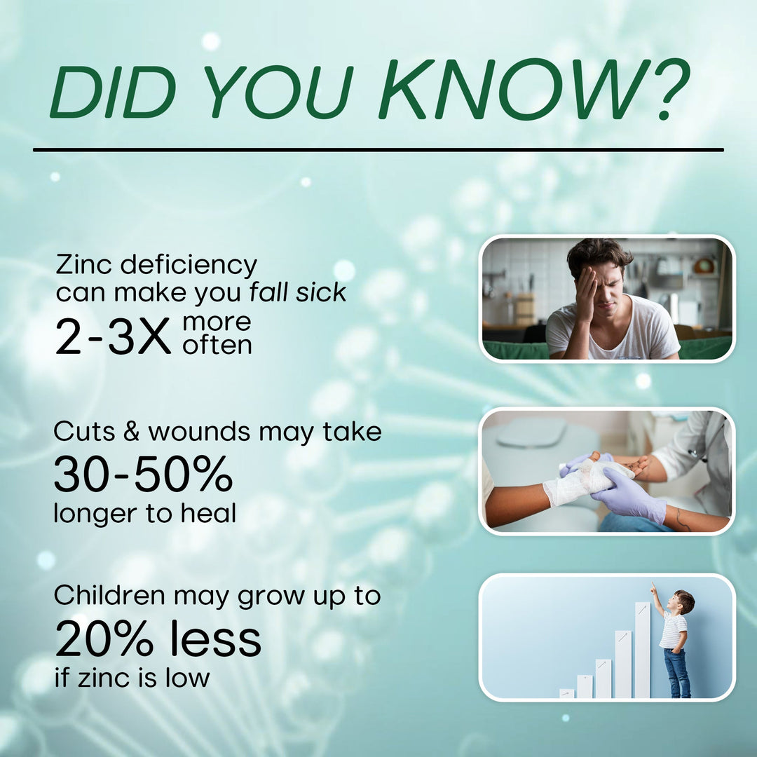 Zinc Glycinate 66mg Elemental Zinc | High Absorption Immunity Support| 120 Tablets