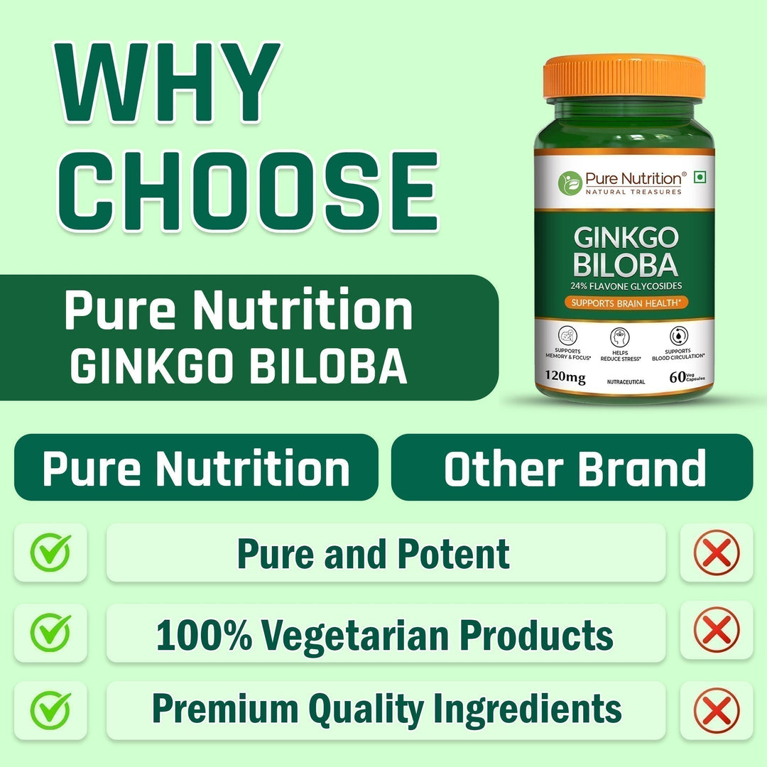 Ginkgo Biloba 120mg Cognitive Wellness, Focus & Circulation Support