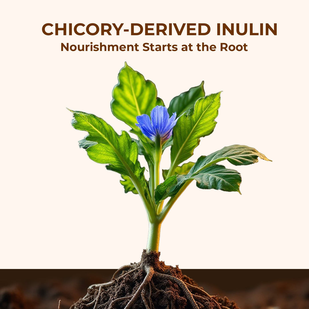 Inulin Powder Prebiotic Fiber 250g | Gut Health & Digestive Support