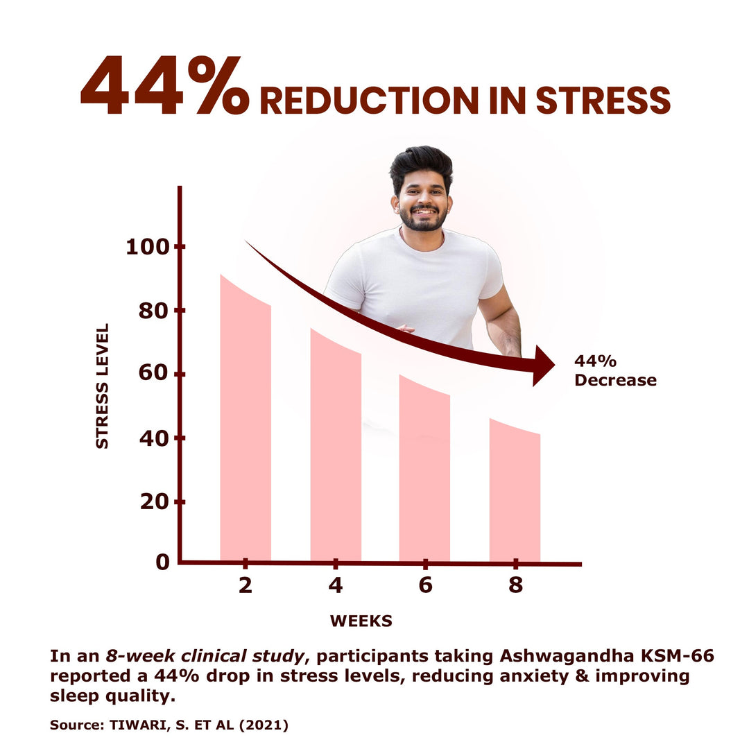 KSM-66 Ashwagandha 500mg  Standardized Root Extract | Stress & Vitality