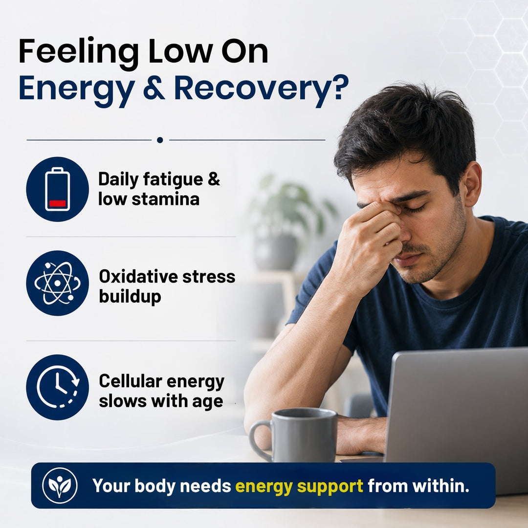LipoMax Liposomal Coenzyme Q10 300mg 30 Veg Capsules | Antioxidant & Energy Support