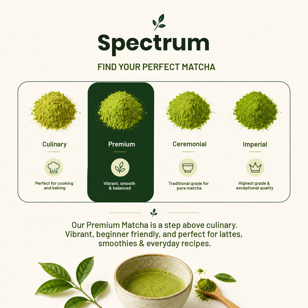 Japanese Matcha Green Tea Powder 50g | Premium Japanese Matcha | Finely Ground Green Tea Powder for Tea, Lattes & Smoothies
