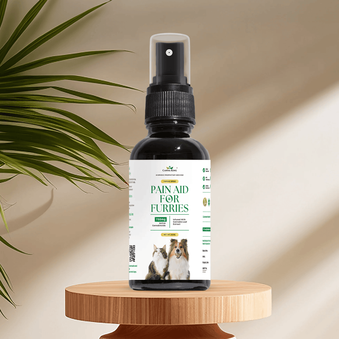 Cannaking Pain Aid for Furries - 50ml