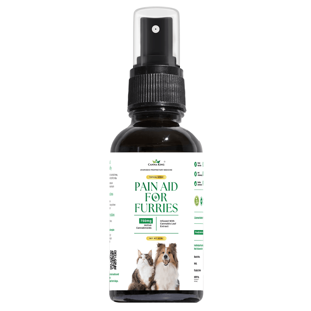 Cannaking Pain Aid for Furries - 50ml