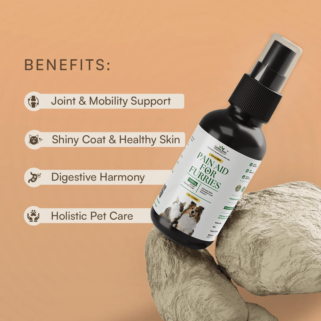 Cannaking Pain Aid for Furries - 50ml