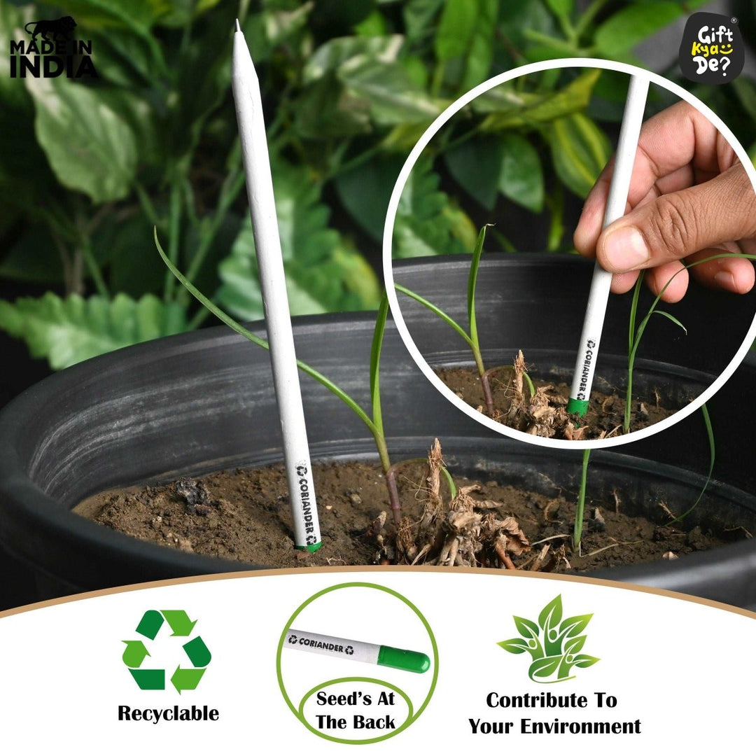 Gift Kya De Buy Eco-Friendly Paper Seed Pencil (Pack Of 10) Online - Gift Kya De