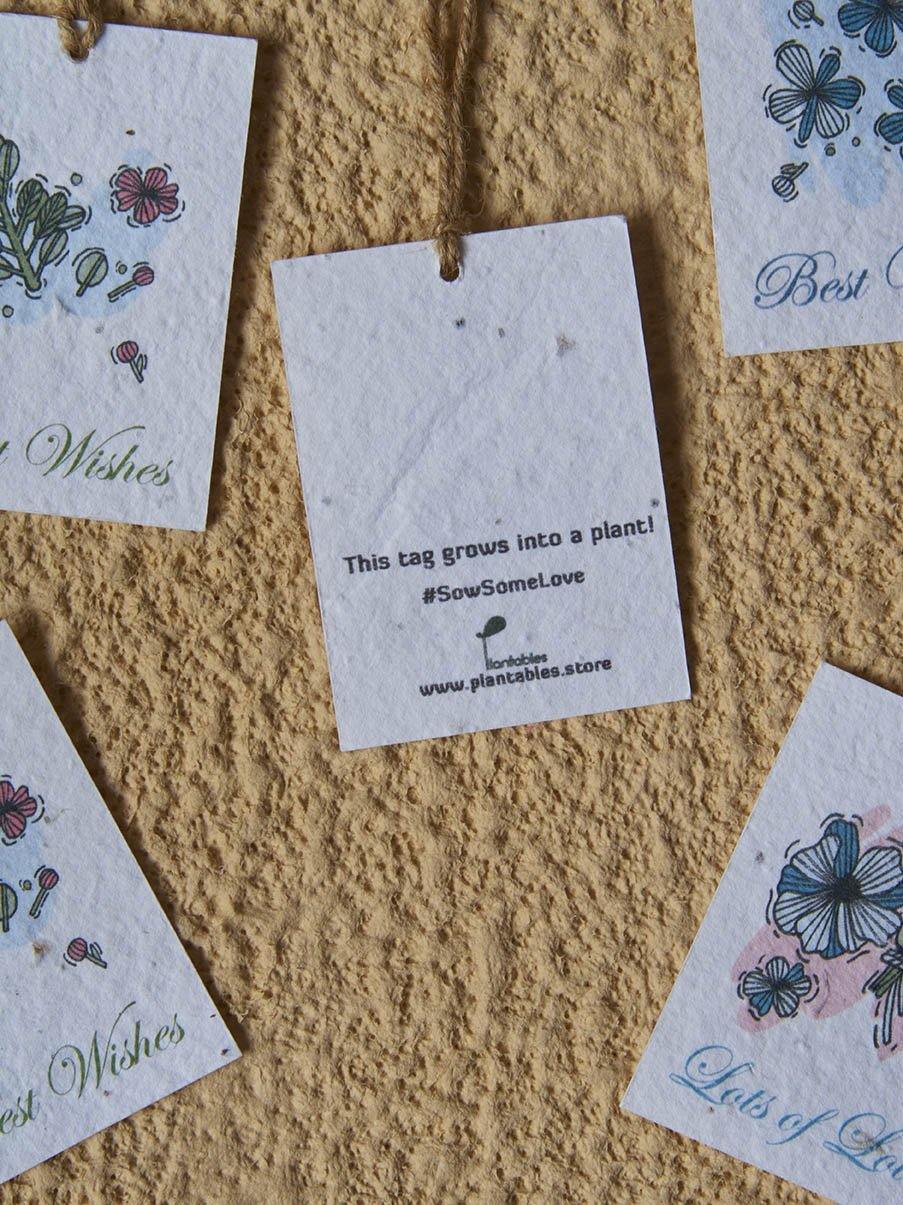 Pastel Notes Gift Tags (Set of 8)