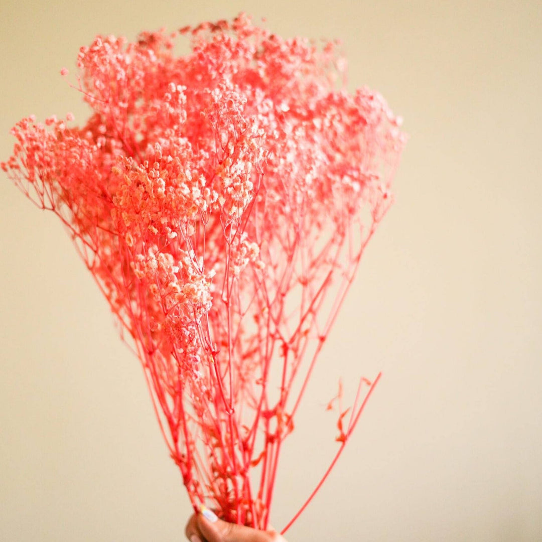 Pastel Pink Baby Breath Dried Flowers | Natural Decorative Dried Floral Bunch for Home Décor