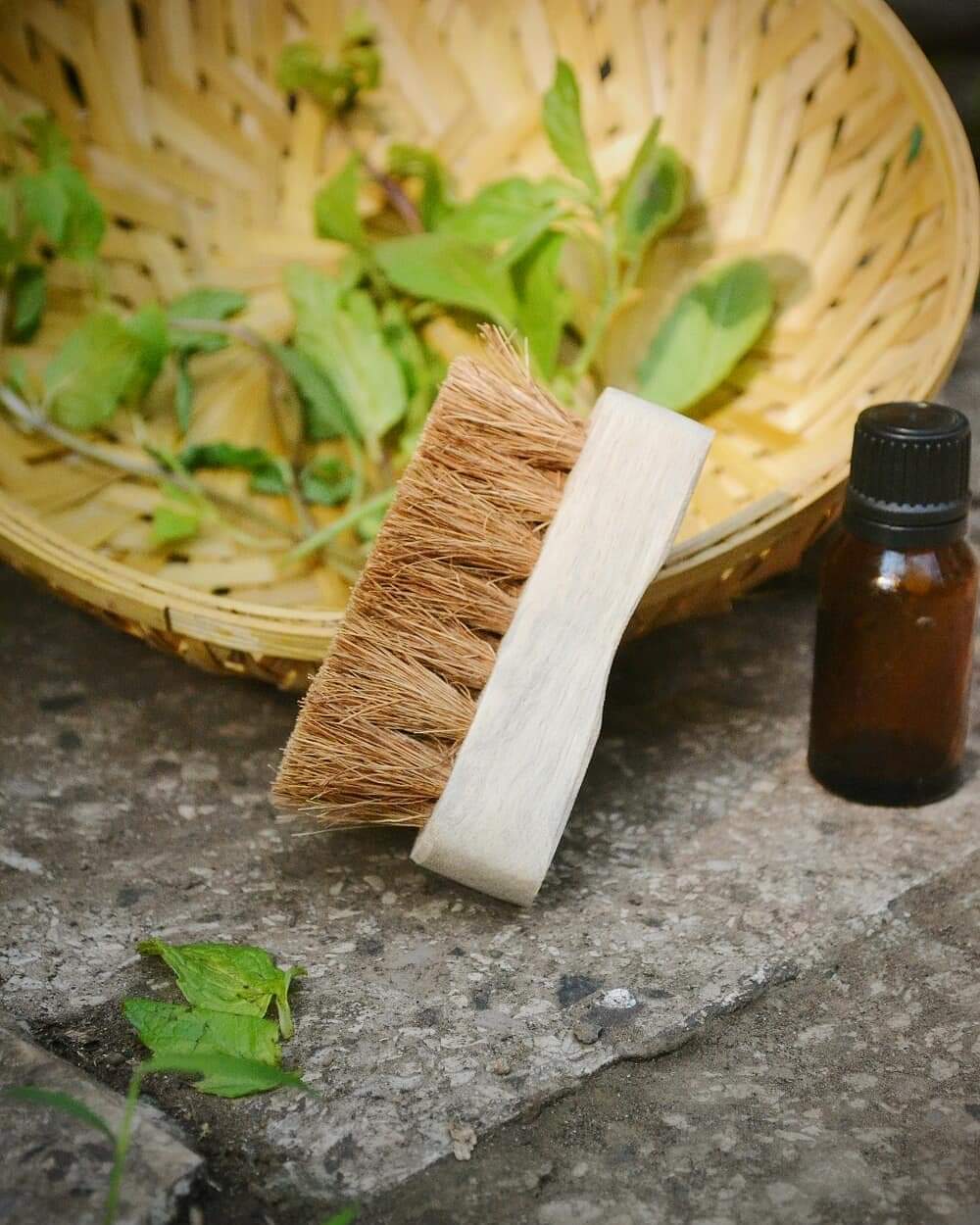 Almitra Sustainables Coconut Coir Pedicure Brush -(Self Care)