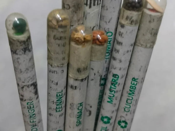 Plantable Newspaper Seed Pencil
