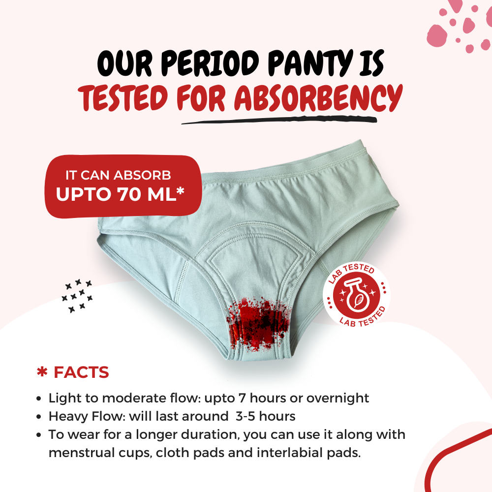 SochGreen Reusable/Washable/Absorbent Period Panty (Hipster)