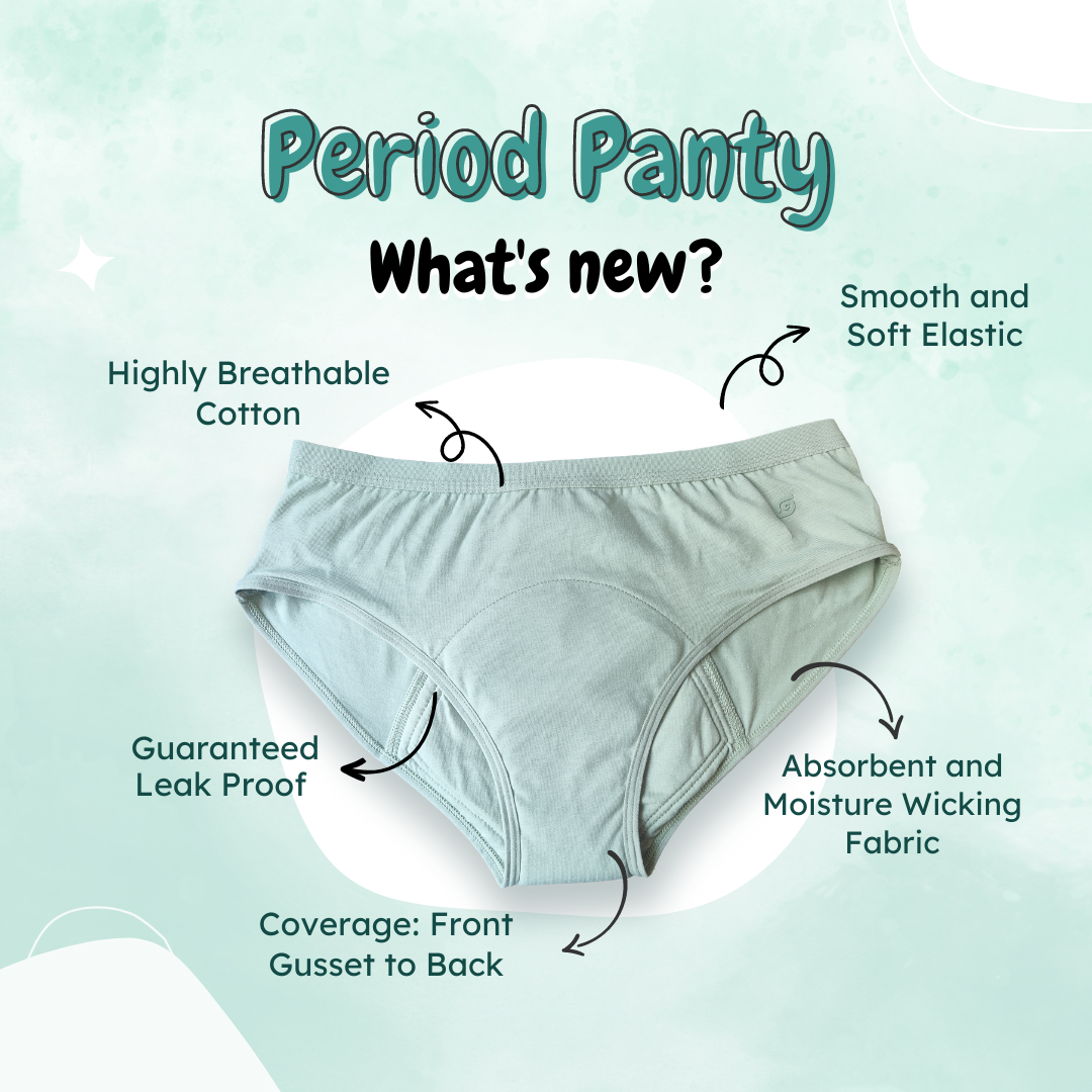 SochGreen Reusable/Washable/Absorbent Period Panty (Hipster)