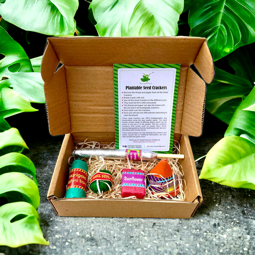 Sow and Grow Plantable Seed Crackers | Set of 5 Diwali Themed Seed Bombs | Beej Pataka | Diwali Seed Balls