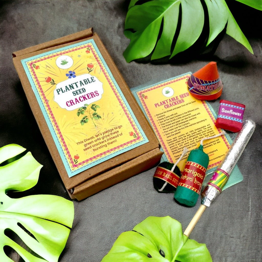 Sow and Grow Plantable Seed Crackers | Set of 5 Diwali Themed Seed Bombs | Beej Pataka | Diwali Seed Balls