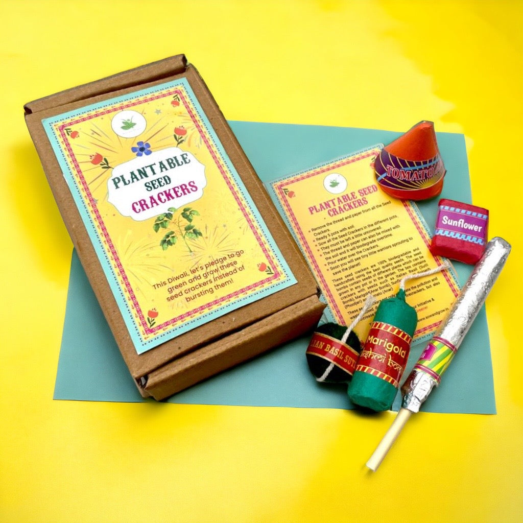 Sow and Grow Plantable Seed Crackers | Set of 5 Diwali Themed Seed Bombs | Beej Pataka | Diwali Seed Balls
