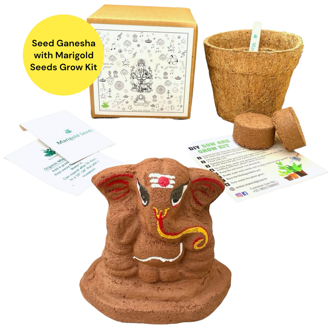 Sow and Grow Plantable Seed Ganesha 6.5 cm with Marigold Seeds | Grow Kit with Pot and Soil | Eco Friendly Idol for Ganesh Chaturthi, Diwali