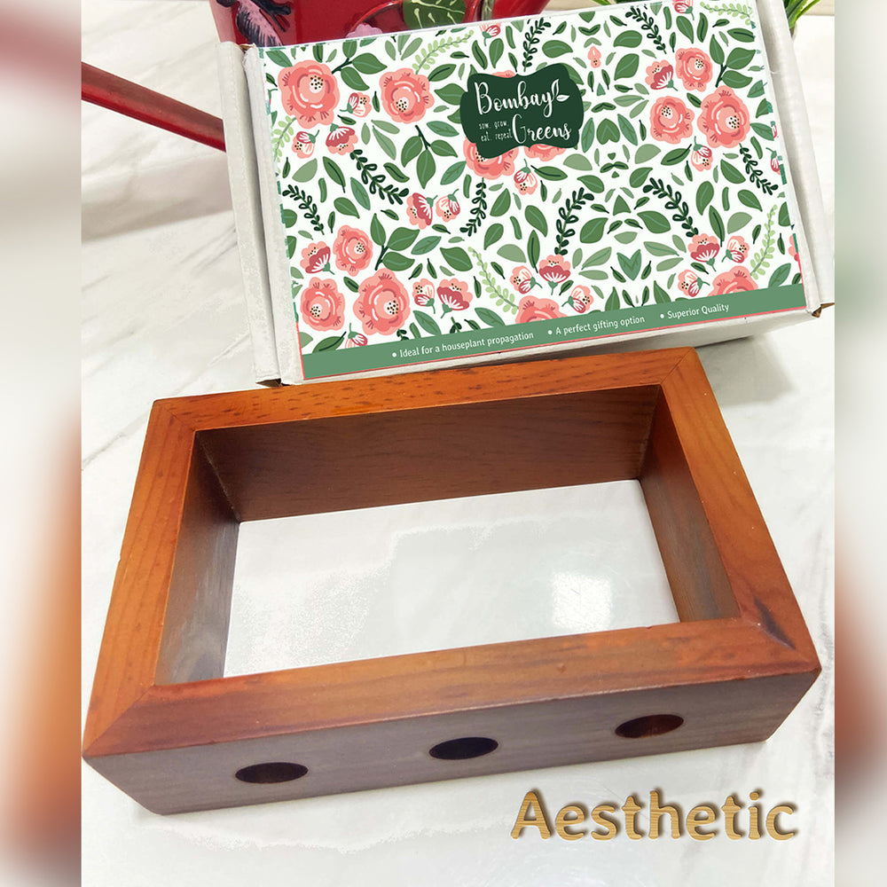 Bombay Greens Pinewood Test Tube Planter with Wooden Holder