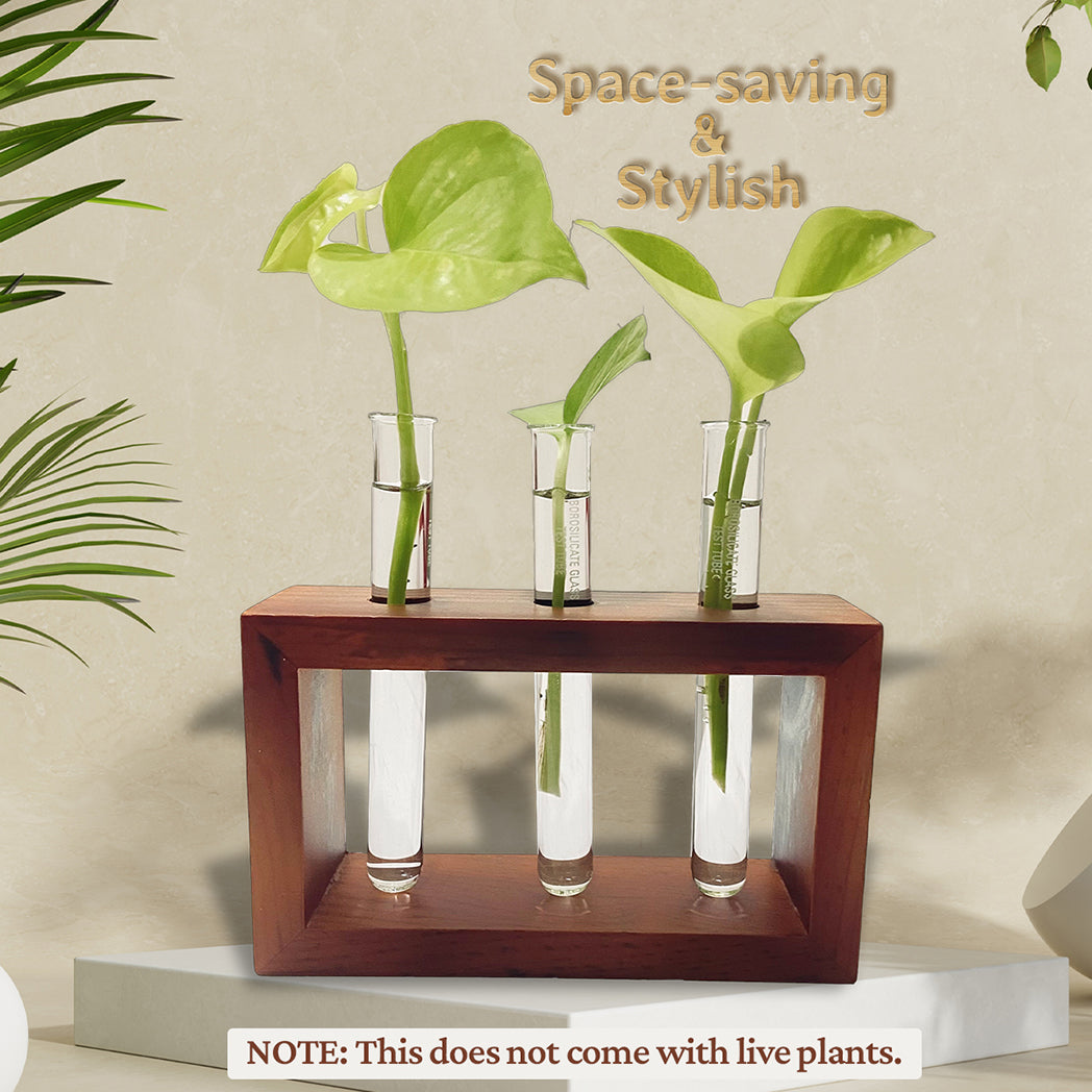 Bombay Greens Pinewood Test Tube Planter with Wooden Holder