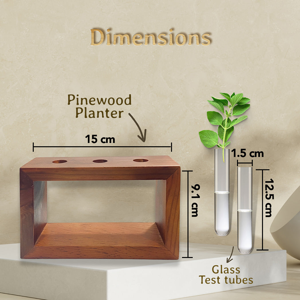 Bombay Greens Pinewood Test Tube Planter with Wooden Holder
