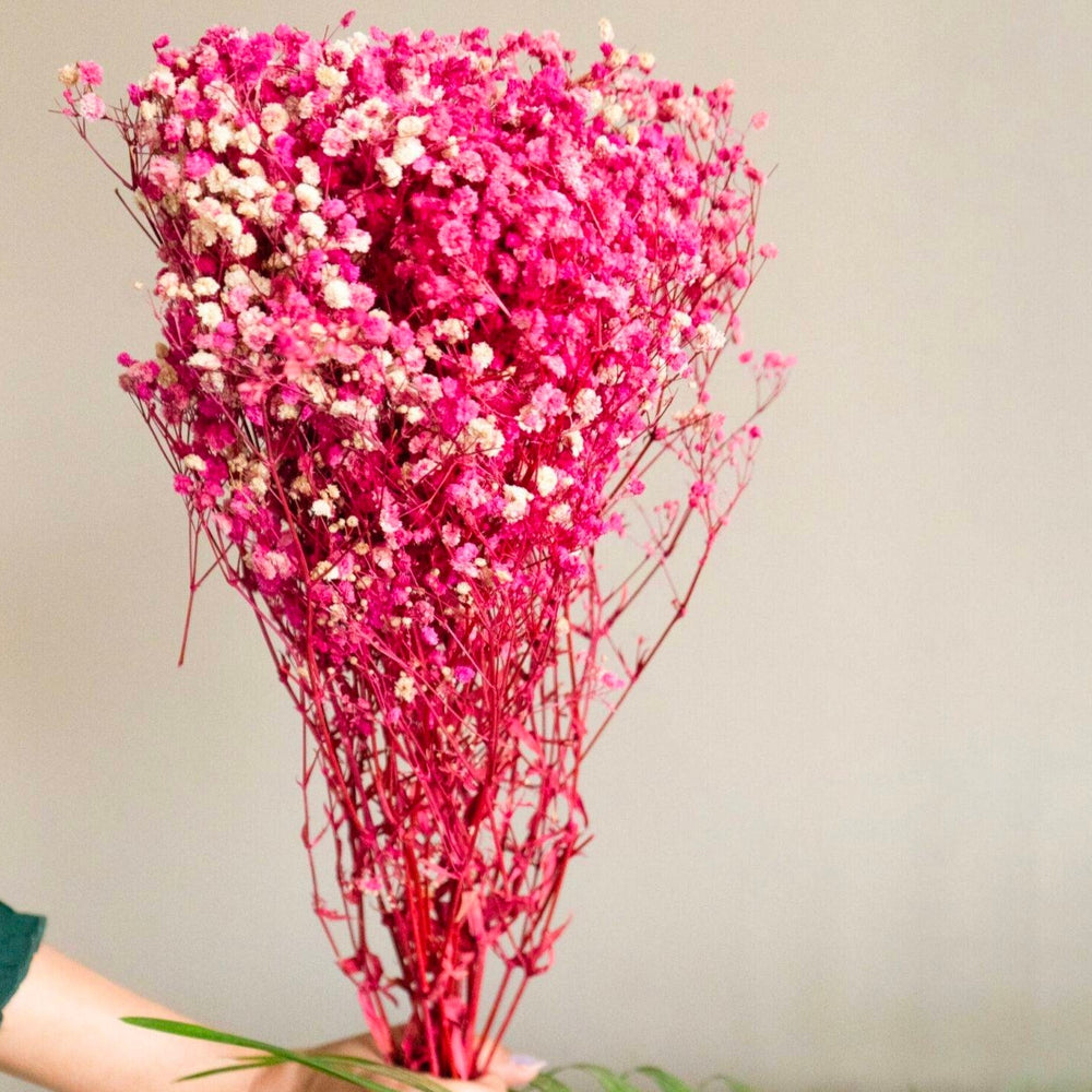 Pink Baby’s Breath Dried Flowers | Natural Gypsophila Stems for Aesthetic Vase Decor