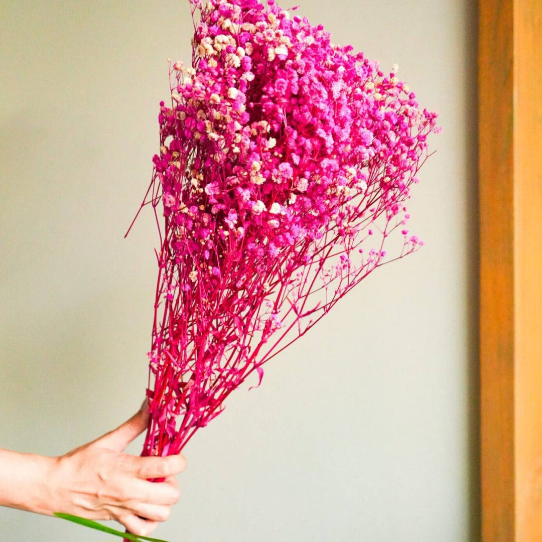 Pink Baby’s Breath Dried Flowers | Natural Gypsophila Stems for Aesthetic Vase Decor
