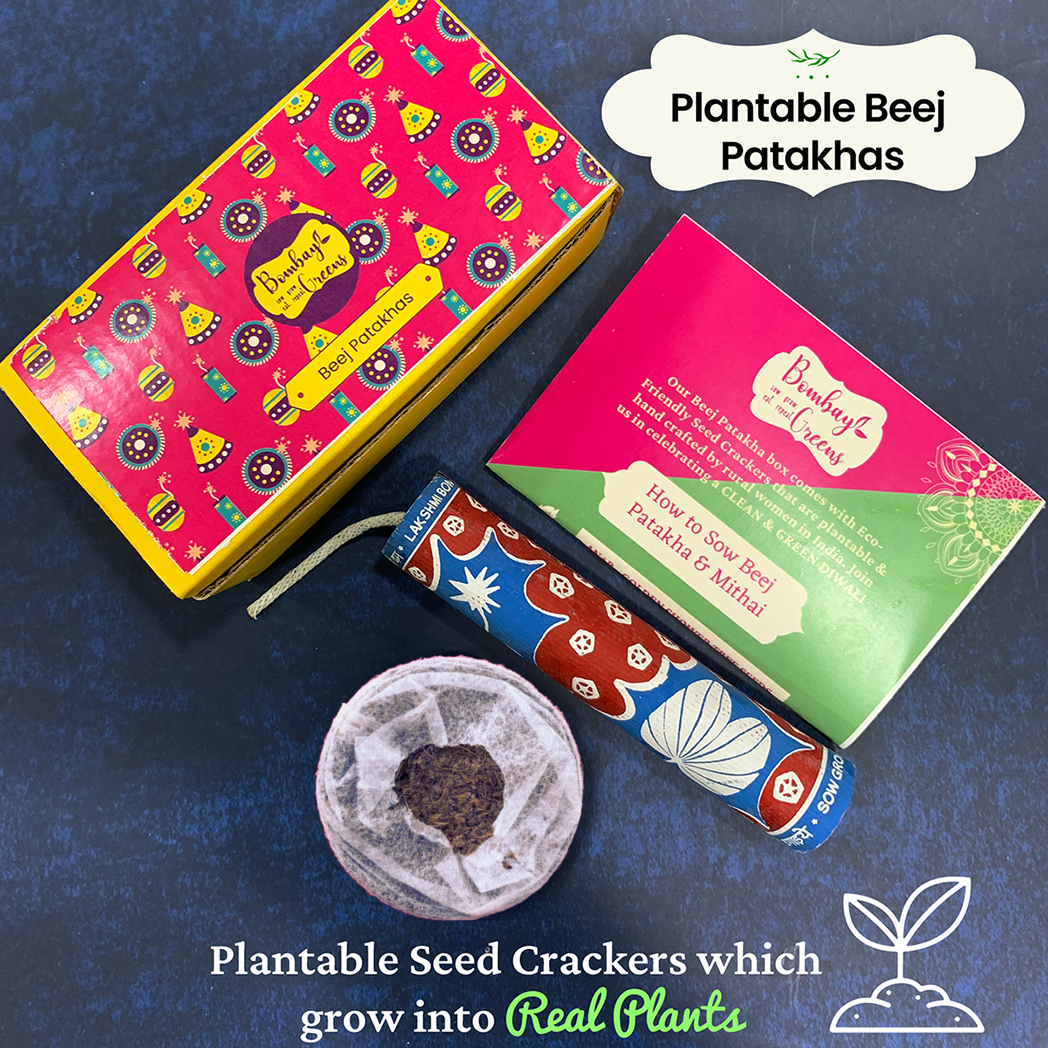 Bombay Greens 3 in 1 Hamper For Diwali - Plantable Seed Cracker