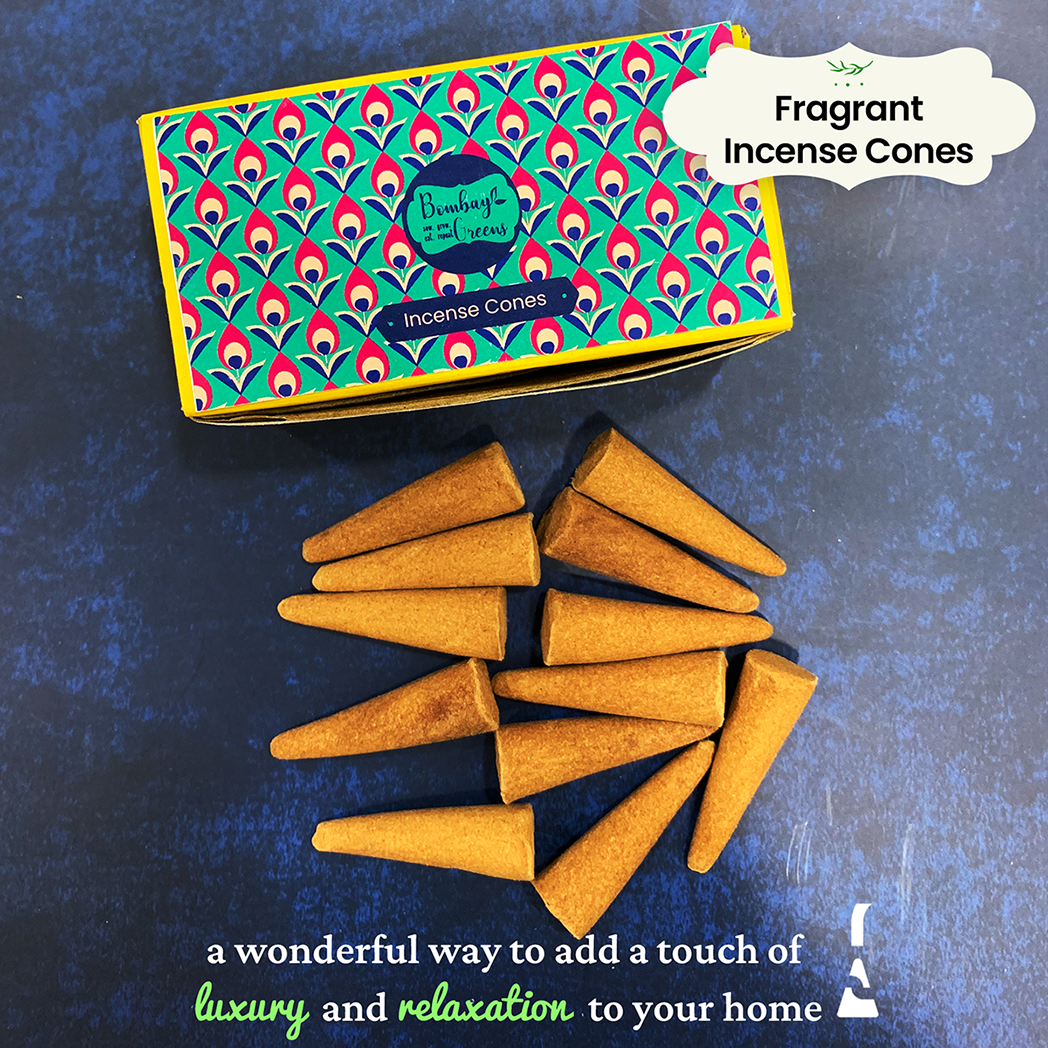 Bombay Greens 3 in 1 Hamper For Diwali - Plantable Seed Cracker