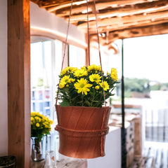 De'Dzines Ring Plant Hanger