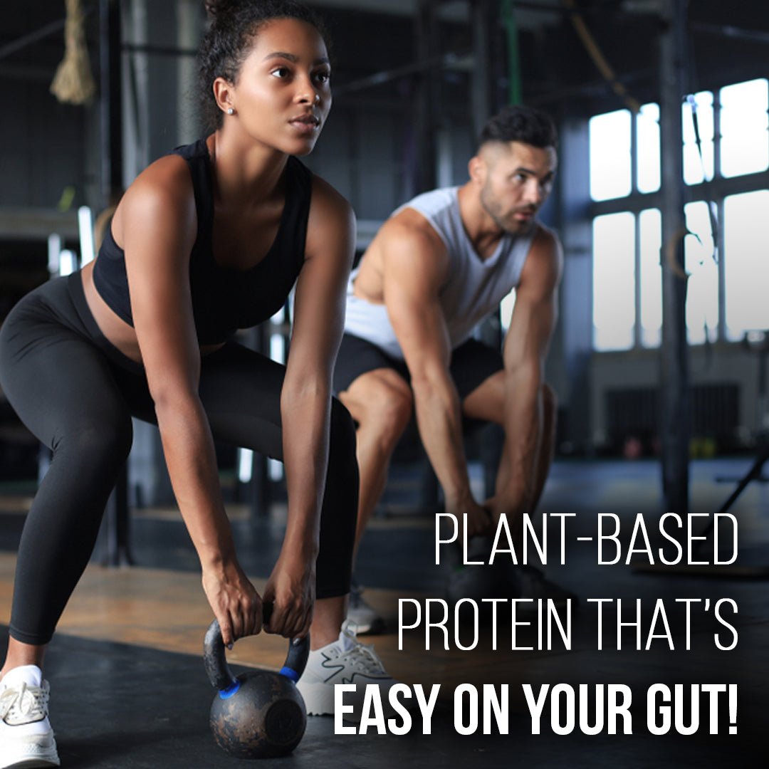 Plant-Based Vegan Protein Powder Chocolate 1kg | BCAAs & Digestive Enzymes