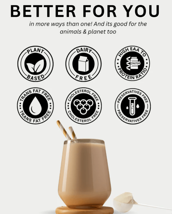 Plant Yum Peanut Protein Isolate - Suspire