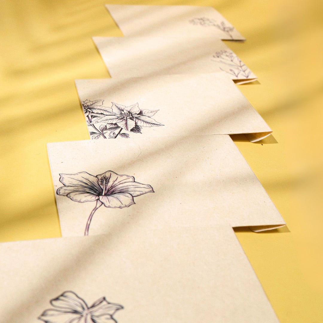 Pravaah Pushp Hemp Paper Note Cards | Set of 5 Notecards and Envelopes
