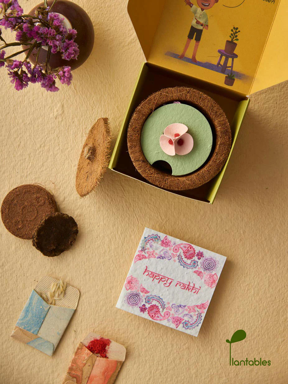 Plantables Pretty Pansy Rakhi Planting Kit