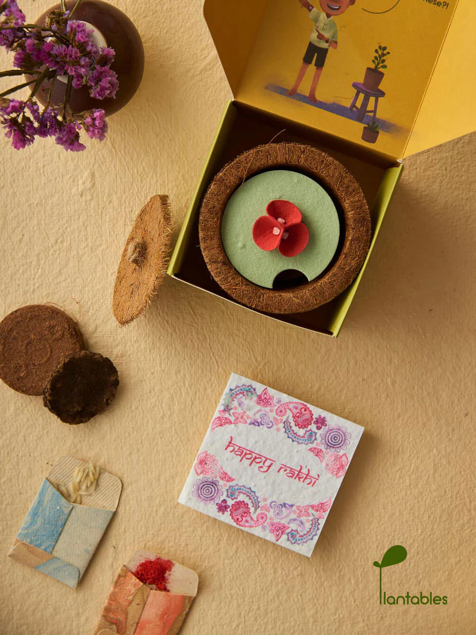 Plantables Pretty Pansy Rakhi Planting Kit