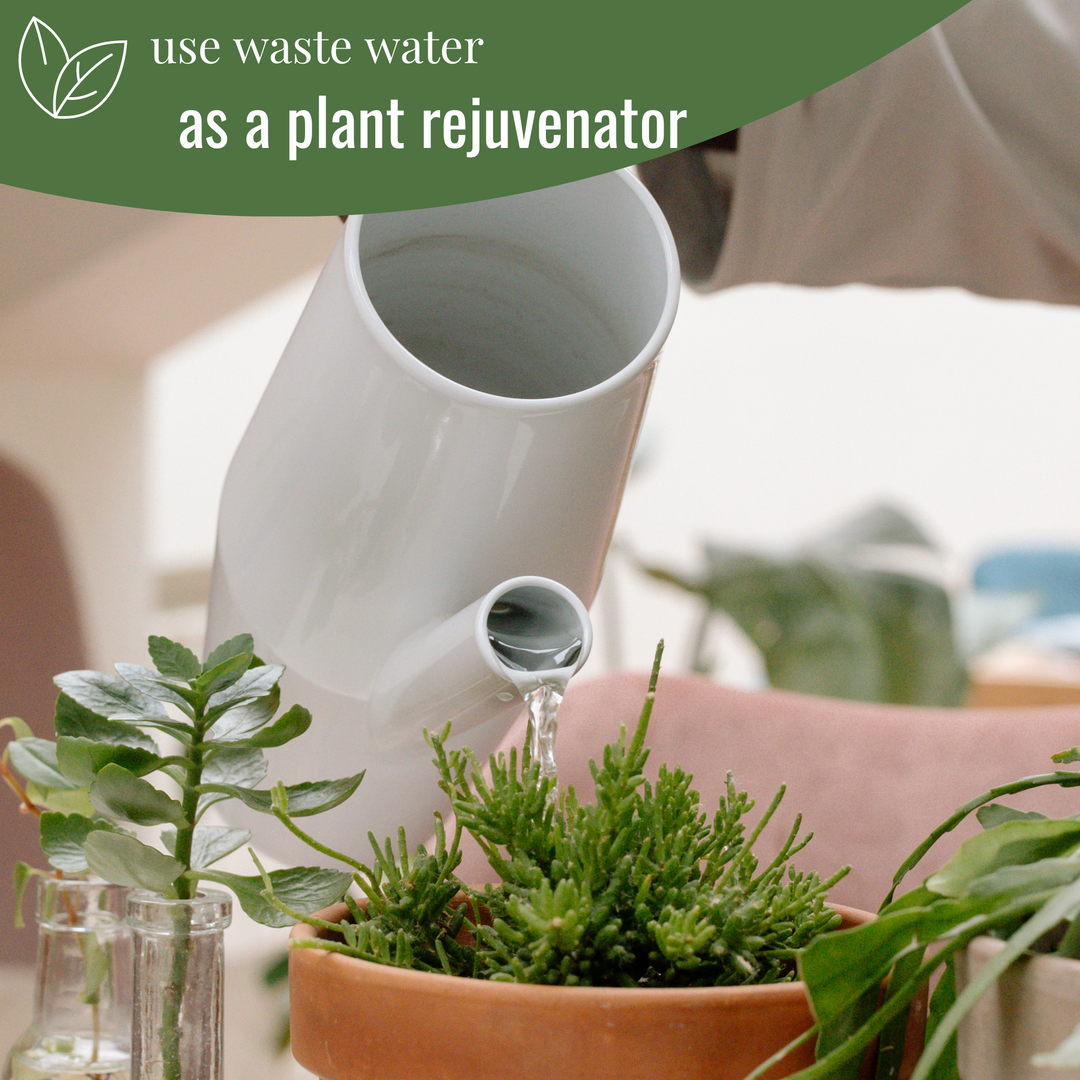 Forest Lab Natural Floor Cleaner | Organic & Herbal Floor Cleaner, Powered by Enzymes & Soapnut | Kills 99.9% germs | Baby & Pet Safe | Marble, Tiles, Wood & Granite Floor Cleaner