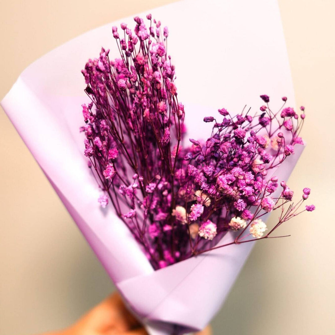 Purple Baby’s Breath | Dried Flowers (Gypsophila)