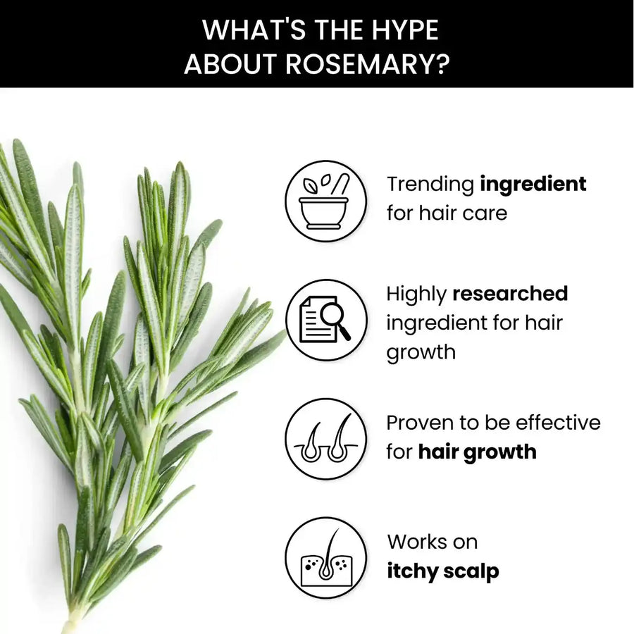 ThriveCo Anti Hair Fall Control Kit: Rosemary Shampoo, Conditioner, Essential Oil, Water