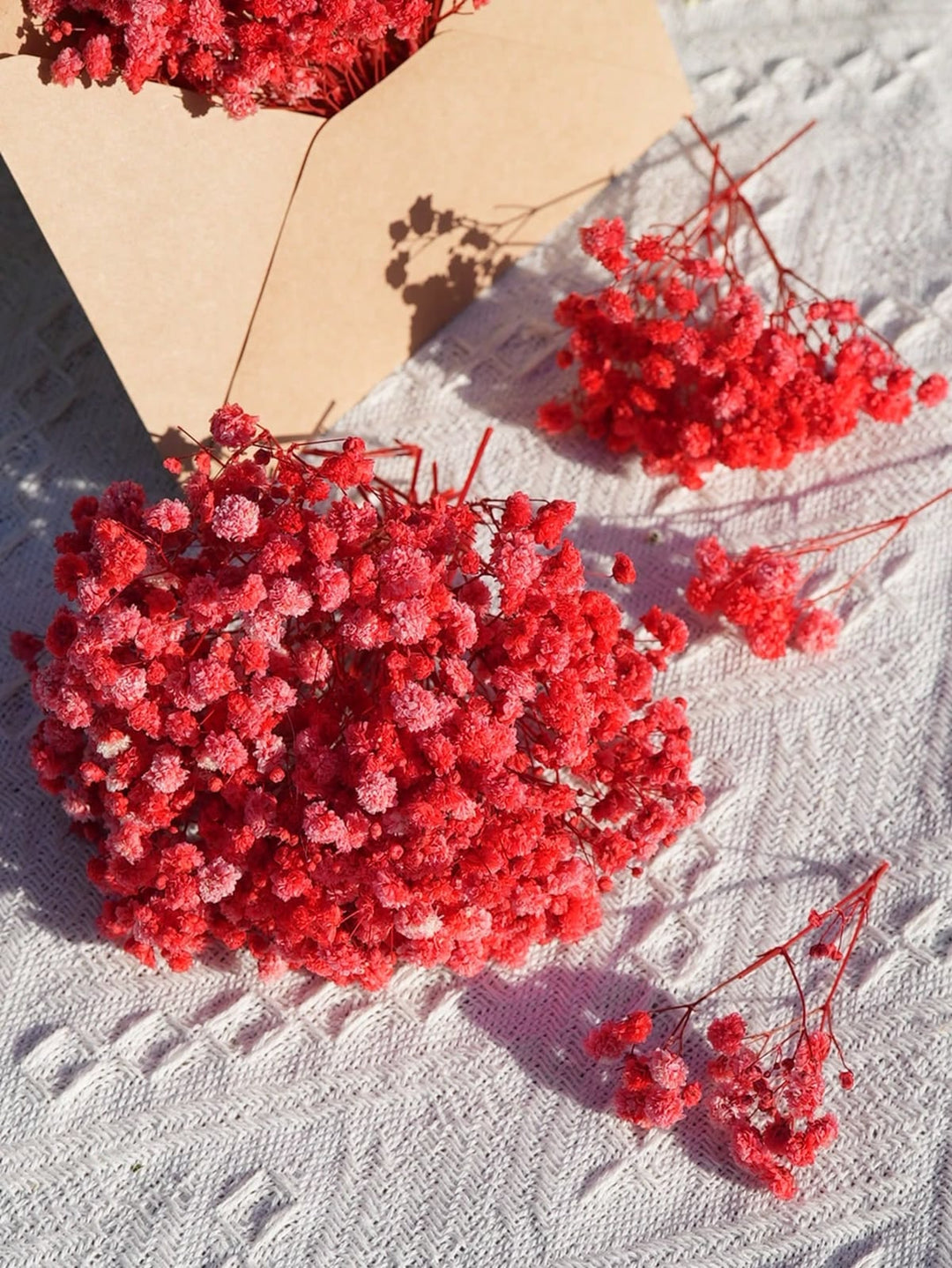 Red Baby Breath Dried Flowers for Vase Decor & Home Styling | ArteCasa