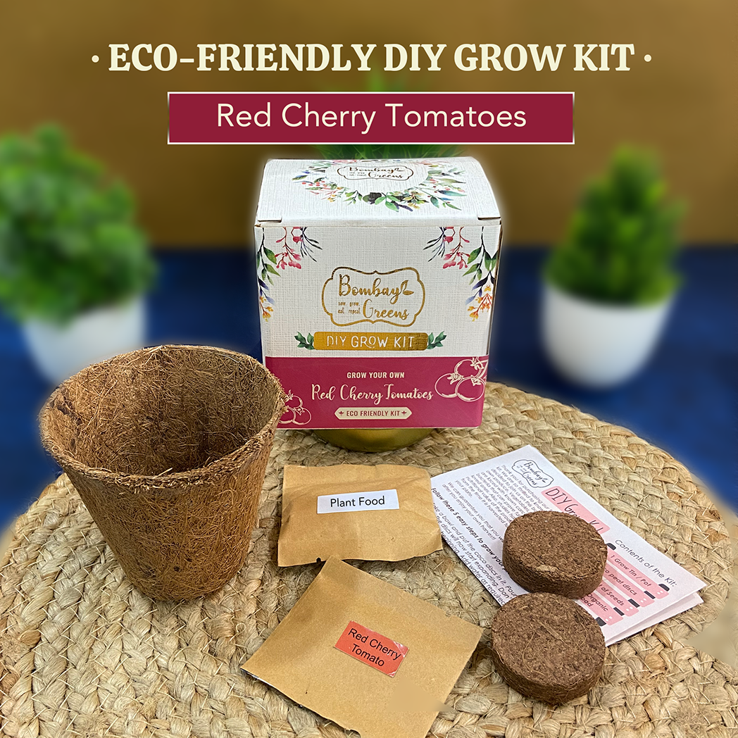 Bombay Greens Eco-Friendly Grow Kit - Red Cherry Tomatoes