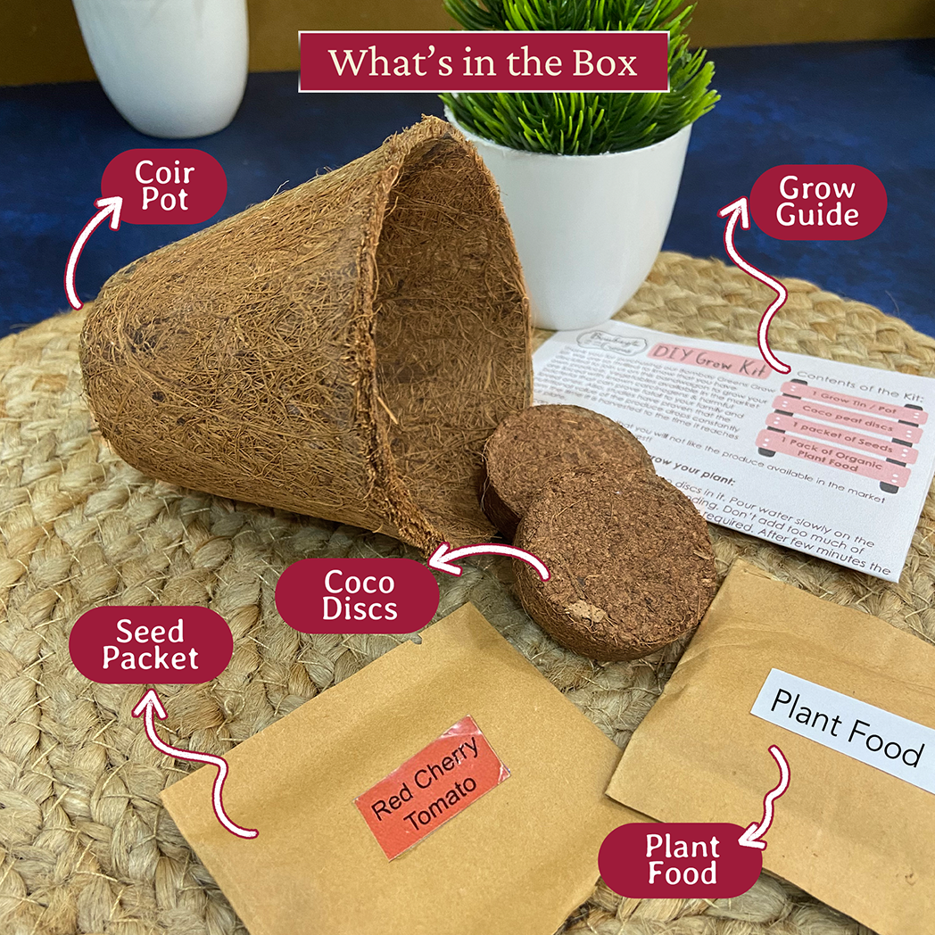 Bombay Greens Eco-Friendly Grow Kit - Red Cherry Tomatoes