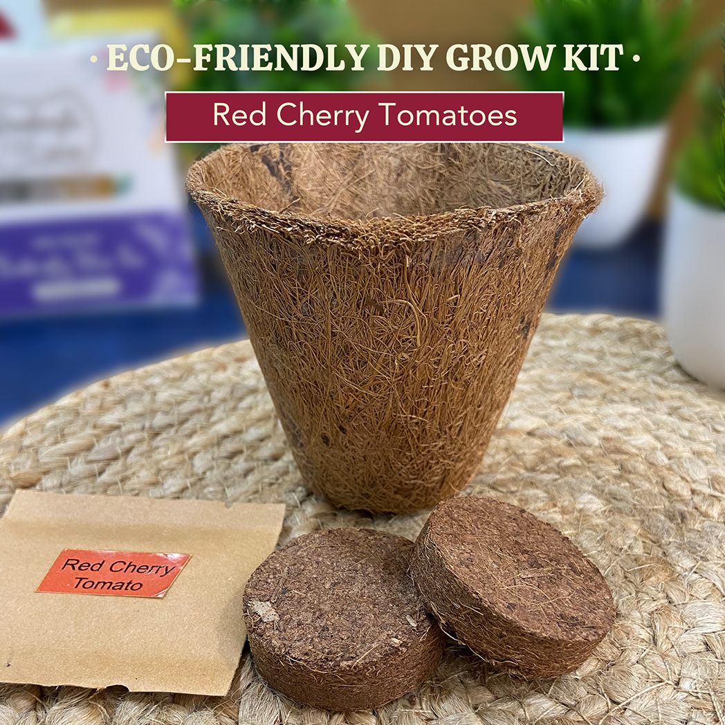 Bombay Greens Eco-Friendly Grow Kit - Red Cherry Tomatoes