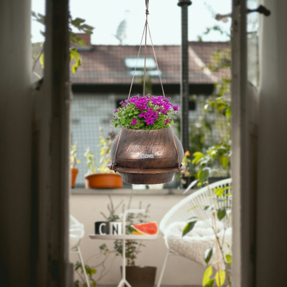 De'Dzines Ring Plant Hanger