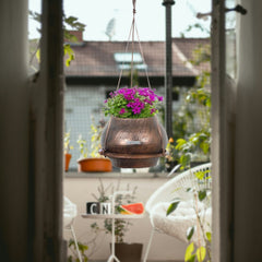 De'Dzines Ring Plant Hanger