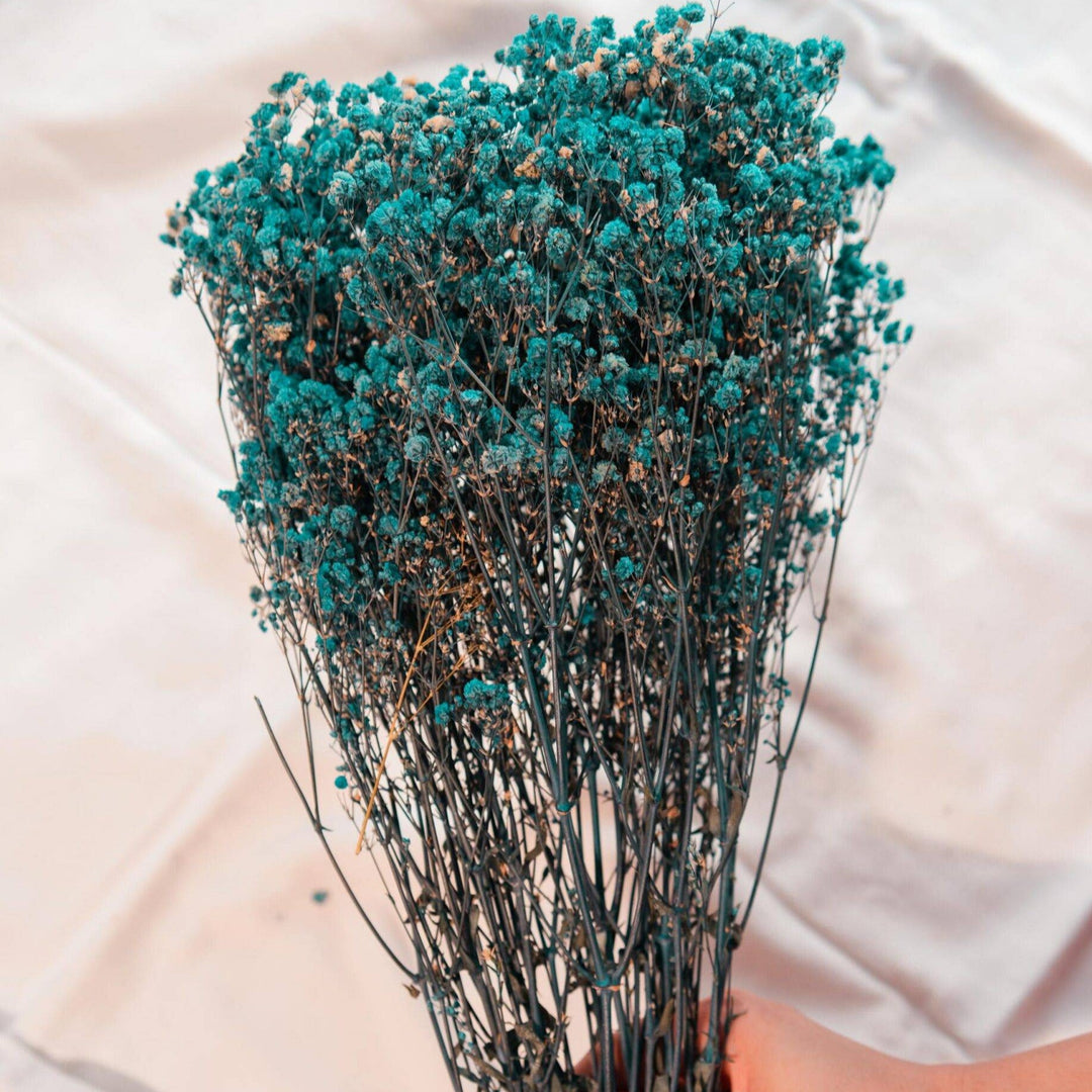 Royal Blue Baby Breath Dried Flowers