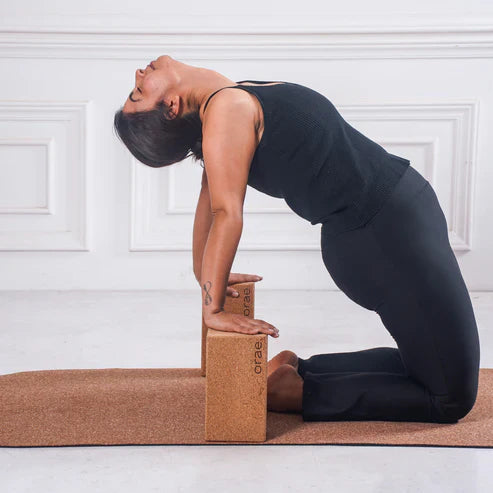 Yoga Blocks Kit - Set of 2 Cork Support Blocks