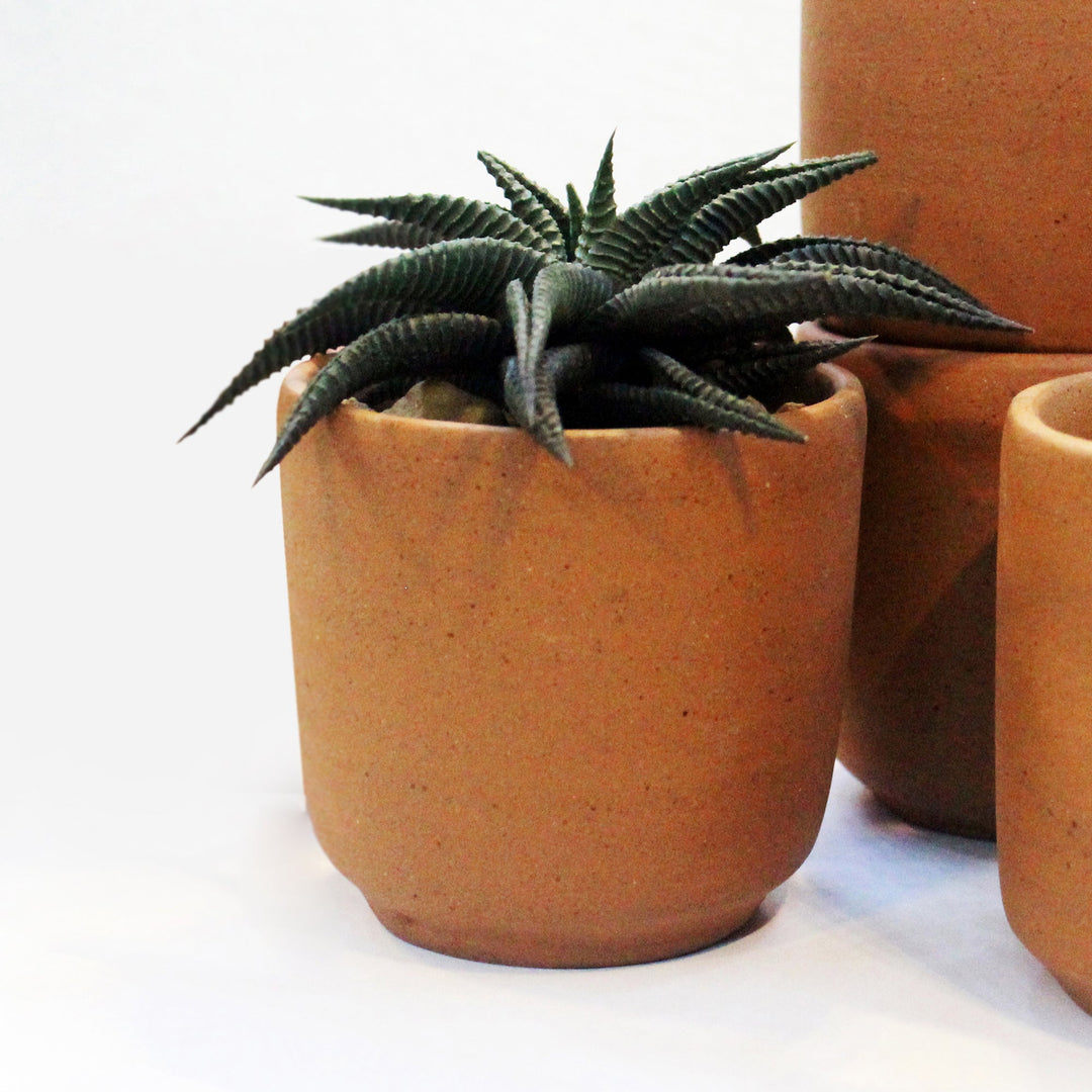 SAKU Medium Planter (BULK PACK ONLY) - Suspire