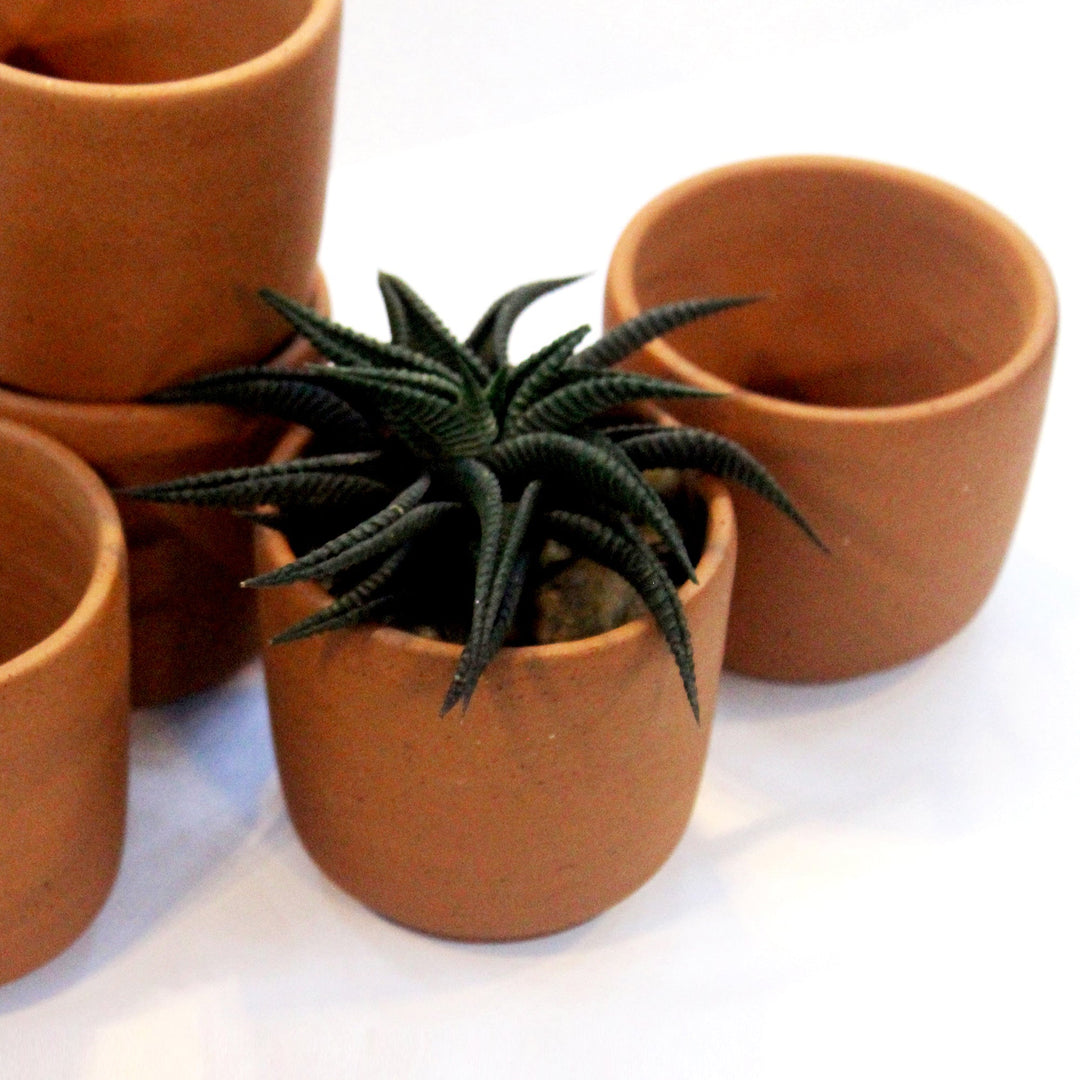 SAKU Medium Planter (BULK PACK ONLY) - Suspire