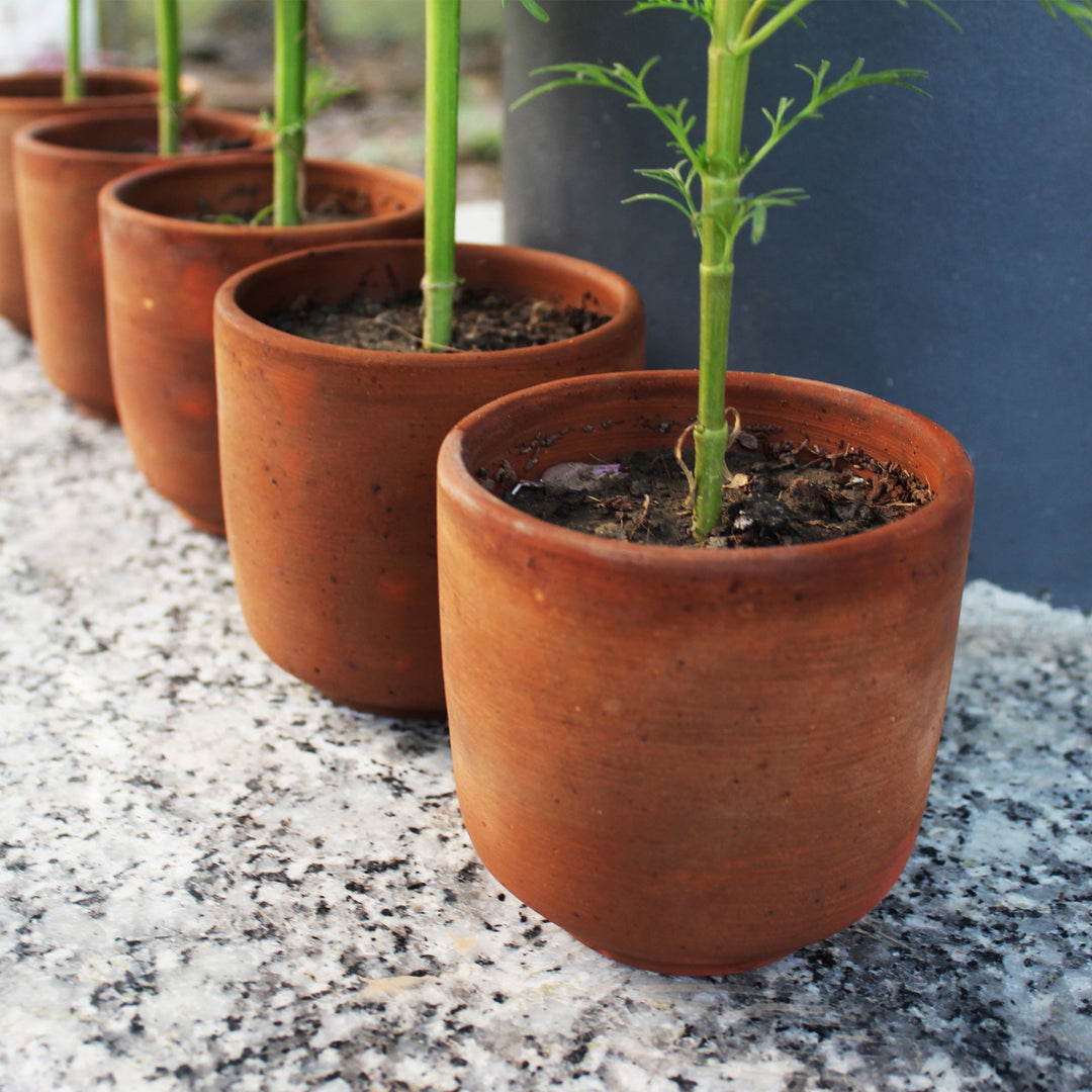 SAKU Medium Planter (BULK PACK ONLY) - Suspire