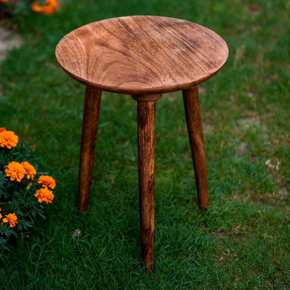Araana Home Saral Uttmansh Stool Cum Tray with Detachable Legs